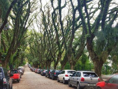 Ini Dia Jalan Paling Indah di Dunia!